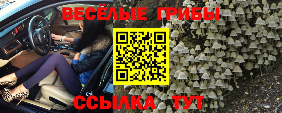 Миллерово  Псилоцибиновые грибы Cubensis  Вход с VPN 